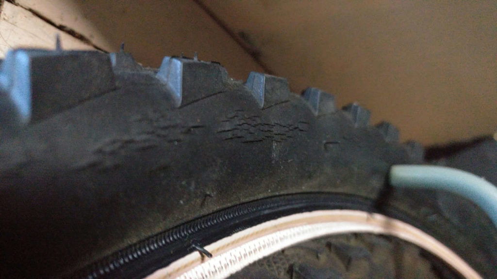 dry-rot mtb tire